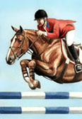 Jumper, Equine Art - McLain Ward